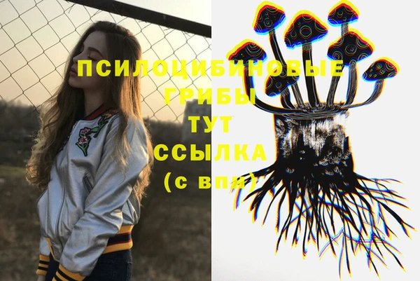 кокс Михайлов