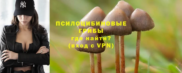соль курить ск Ладушкин