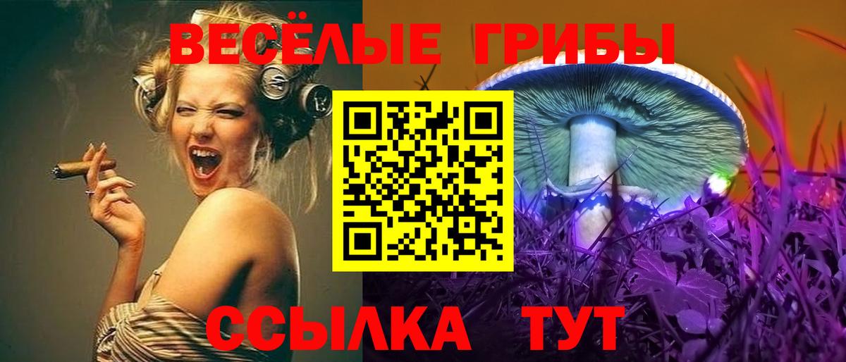 Галлюциногенные грибы GOLDEN TEACHER  Вход с VPN  Нарткала 